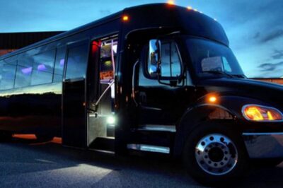 Consider These Type of Party Bus