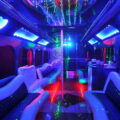 Call an Online NJ Party Bus Rental to Step Things Up 1