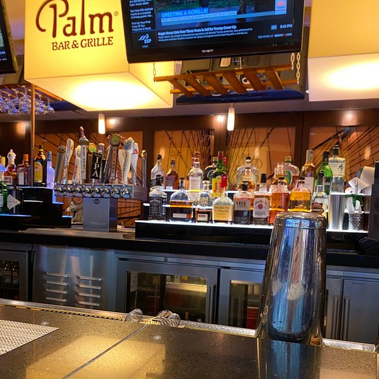 The Palm Bar Amp Grille